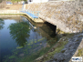 Baredine